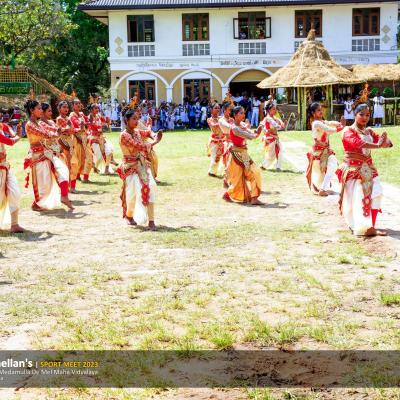 339460445 174036605508344 742749265507349620 N