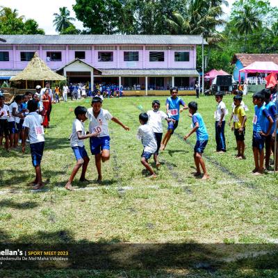 339551929 945687659937042 3508001525046467895 N