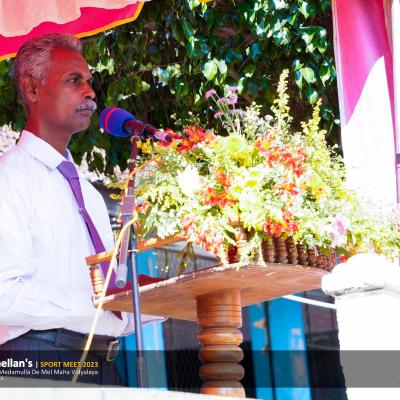 339766595 957449458586915 4644418383808059661 N