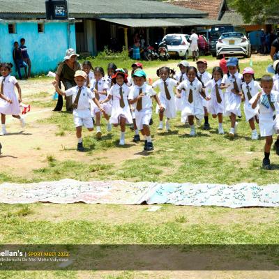 339904204 569888981603267 2175525958767240076 N