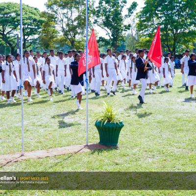 339907926 917093899502544 4739968168500970326 N