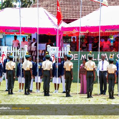 339909998 612941987020548 6658603798563395069 N