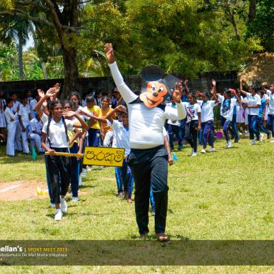 339911386 1159331931400862 3950049964853325215 N